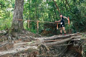 BIB: 
                            <button type="button" onclick="openModal(27802408)" class="btn btn-primary btn-sm float-right btn-popup" data-toggle="modal" data-target=".modal-high-quality">
                        <i class="fas fa-shopping-cart"></i> Add to Cart
                    </button>
                                            <button type="button" onclick="isThisMe(27802408, true)" class="btn btn-success btn-sm float-right btn-popup btn-isme hidden" data-toggle="tooltip" data-placement="bottom" title="นี่คือรูปของคุณใช่ไหม คลิกที่นี่เพื่อเอาเข้าอัลบั้ม">
                        <i class="fas fa-plus"></i> Add to album
                    </button>
                    <button type="button" onclick="isThisMe(27802408, false)" class="btn btn-warning btn-sm float-right btn-popup btn-isnotme hidden">
                        <i class="fas fa-ban"></i> Remove from album
                    </button>